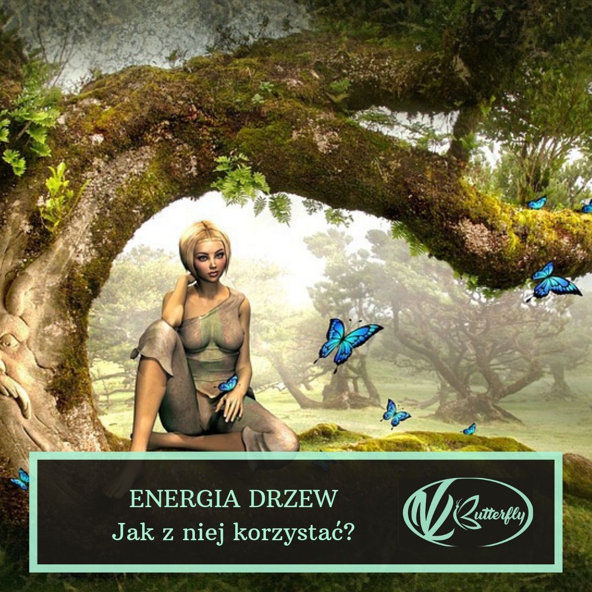 Read more about the article Energia drzew – Jak z niej korzystać?