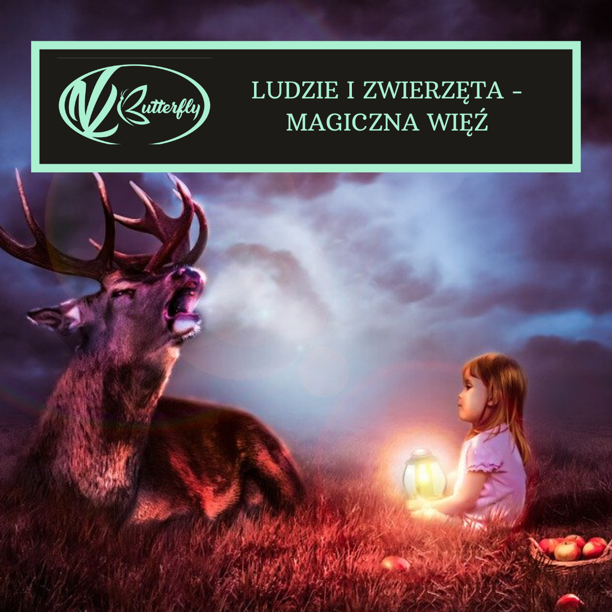 Read more about the article Ludzie i zwierzęta – magiczna więź