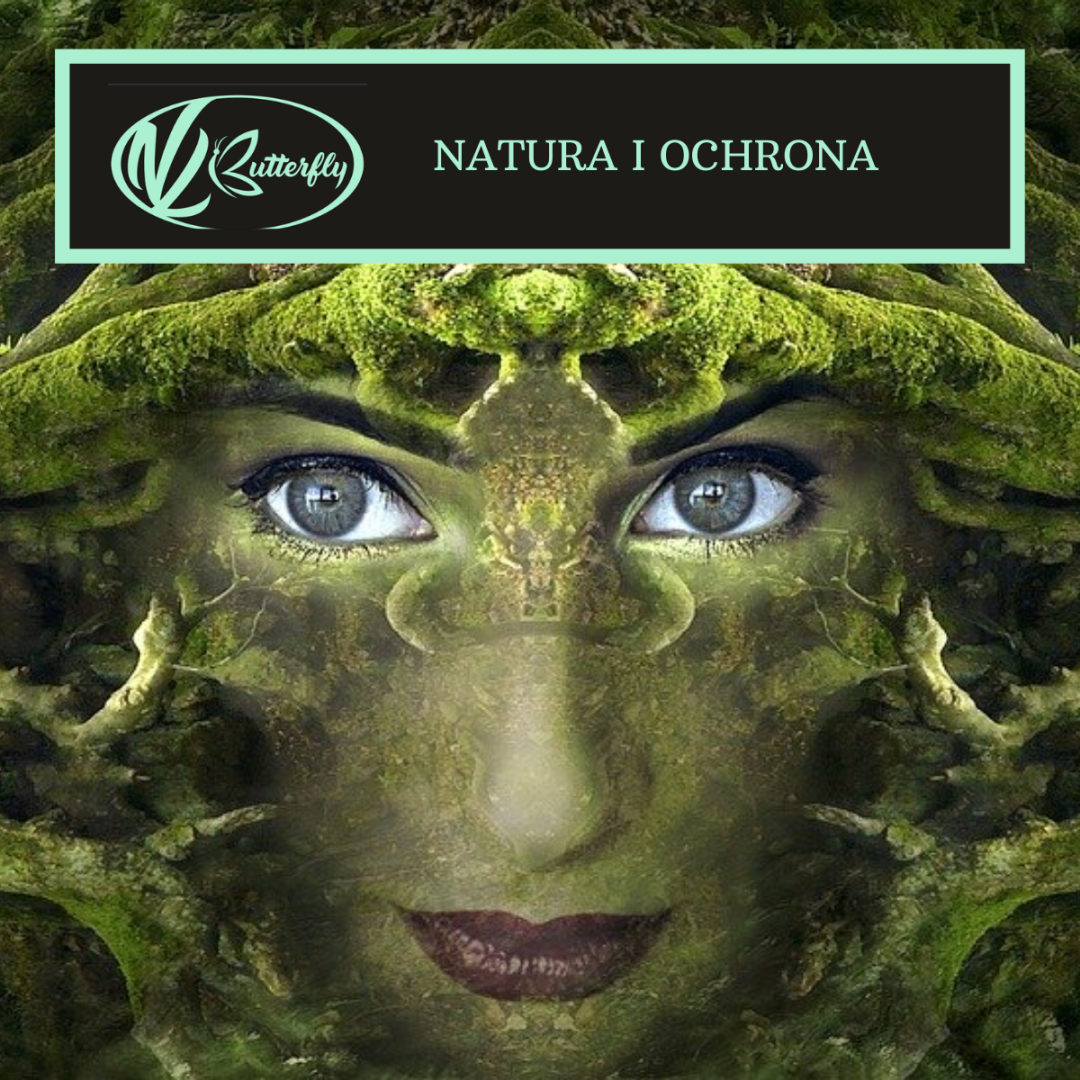 Read more about the article Natura i ochrona
