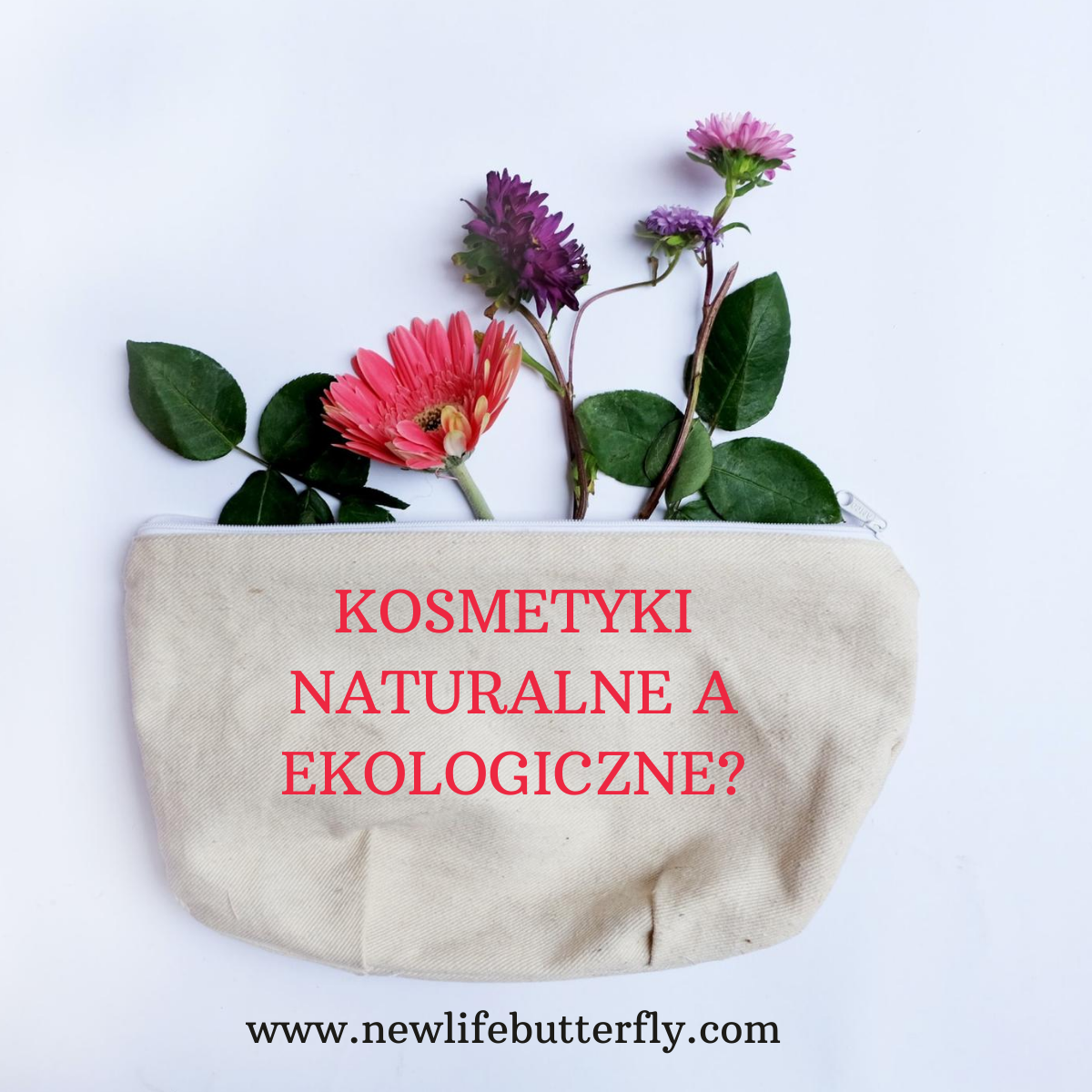Read more about the article Kosmetyki naturalne a ekologiczne