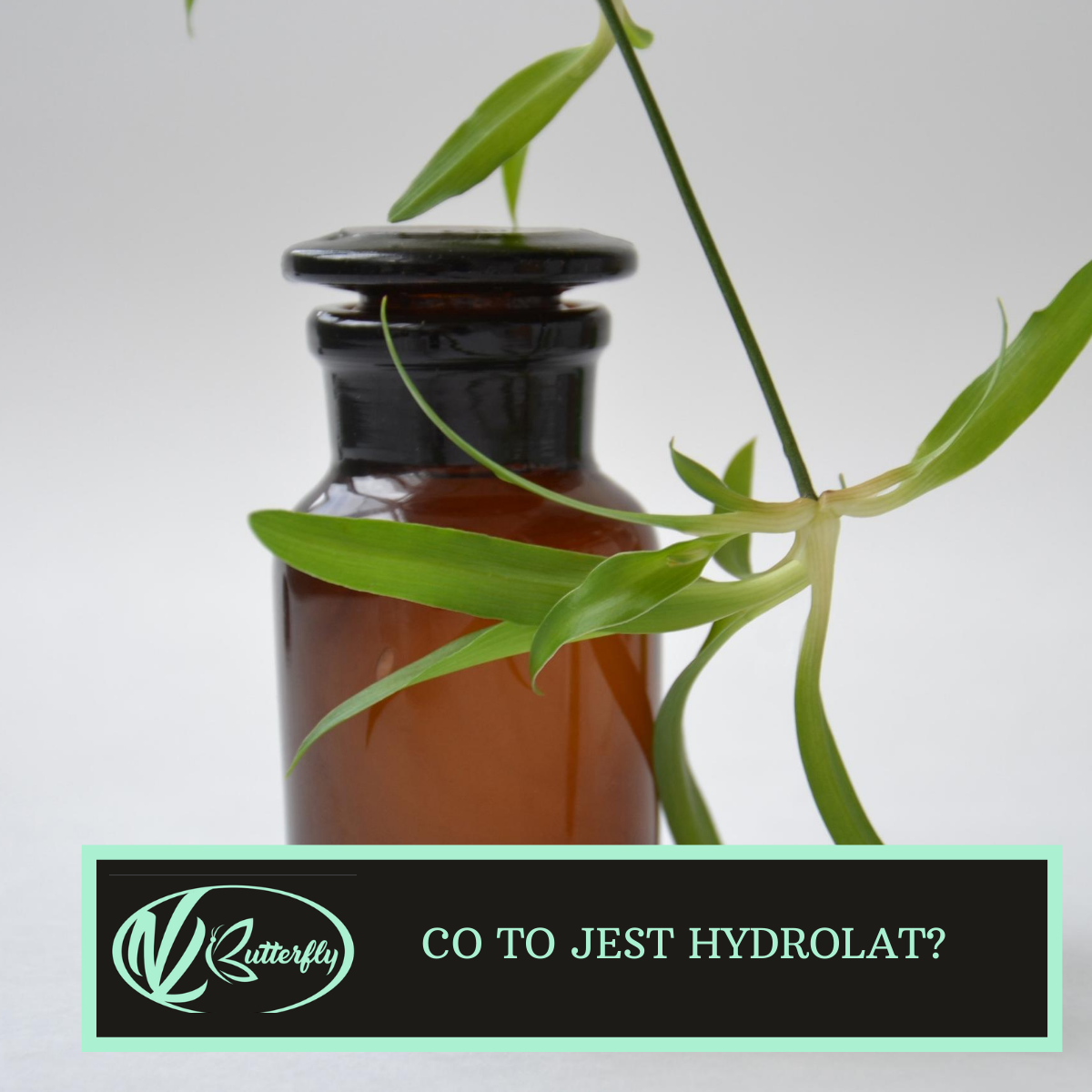 Read more about the article Co to jest hydrolat?