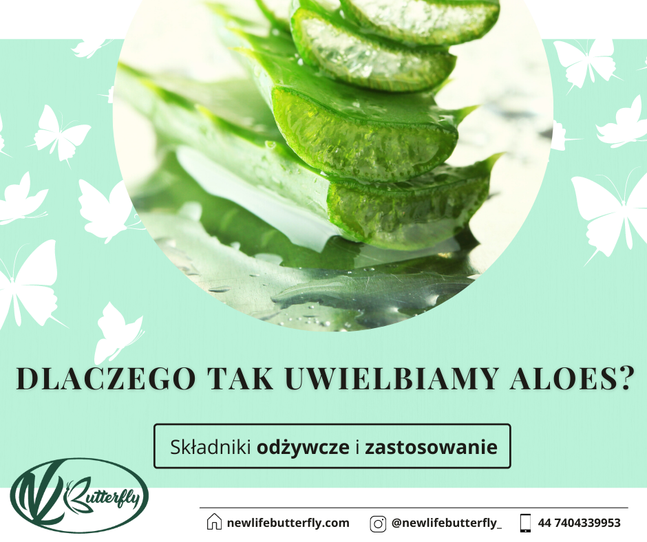 Read more about the article Dlaczego tak uwielbiamy aloes?